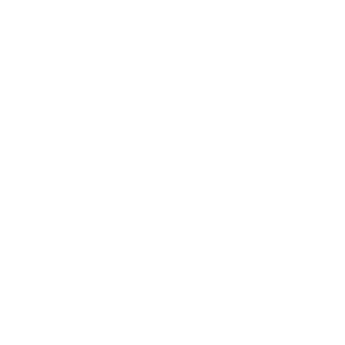 Trinnnov