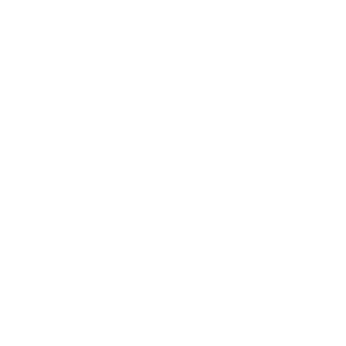 woodstock Electronics