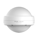 Ruijie - Dual Band Outdoor Access Point (Wifi 6)